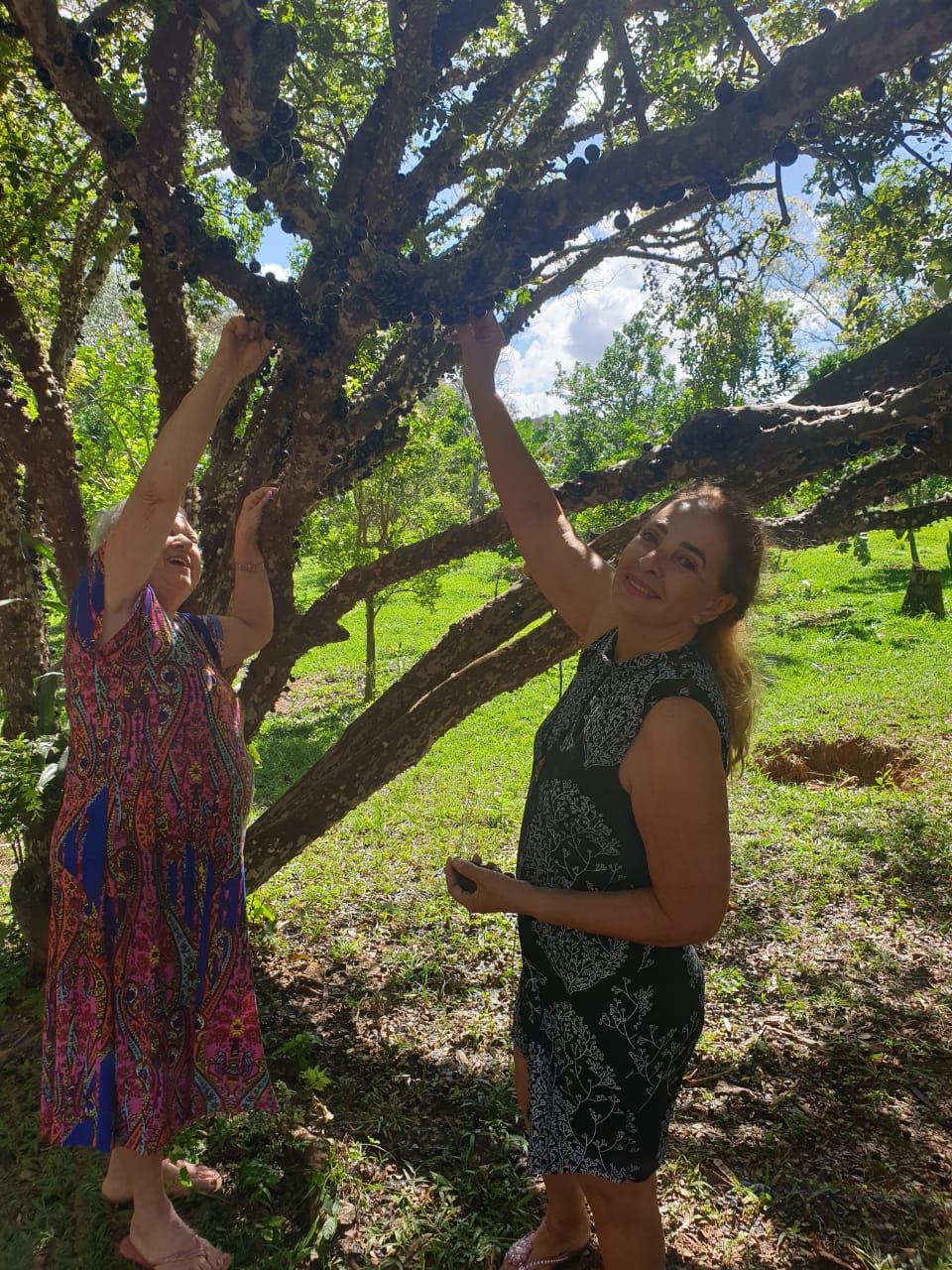 WhatsApp Image 2024-09-09 at 09.06.09 (2).jpeg